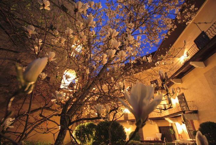 Schlosshotel Obermayerhofen Sebersdorf Екстер'єр фото