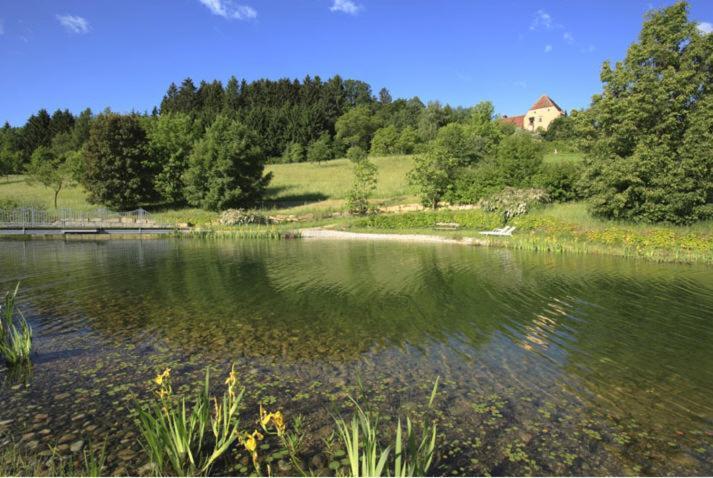 Schlosshotel Obermayerhofen Sebersdorf Екстер'єр фото